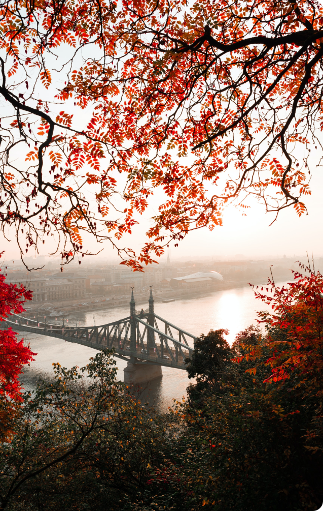 Schmidthoffer Dávid - Pénzügyi tanácsadó, Budapest